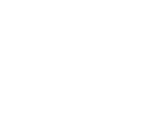 Tienda Icon